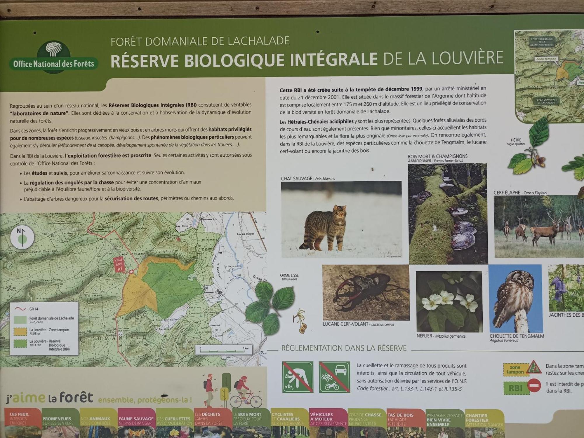 Gite Nature Et Detente Aubreville Ngoại thất bức ảnh