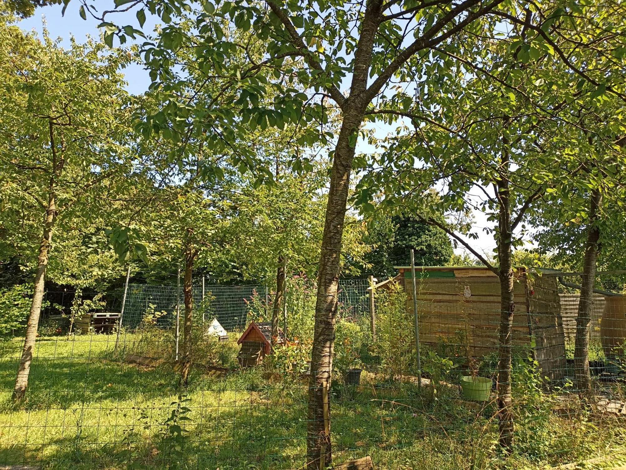 Gite Nature Et Detente Aubreville Ngoại thất bức ảnh